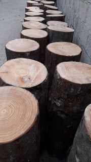 Pine Flakes or Shavings "Horse Bedding" 14KG - Greensouq - 