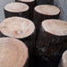 Pine Flakes or Shavings "Horse Bedding" 14KG - Greensouq - 