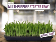 Plastic Seed Starter Tray "Plant Propagation Tray" - Greensouq - 