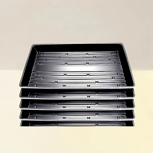 Plastic Seed Starter Tray "Plant Propagation Tray" - Greensouq - 