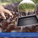 Plastic Seed Starter Tray "Plant Propagation Tray" - Greensouq - 