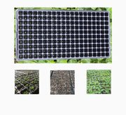 Plastic Seeds Tray - Greensouq - 