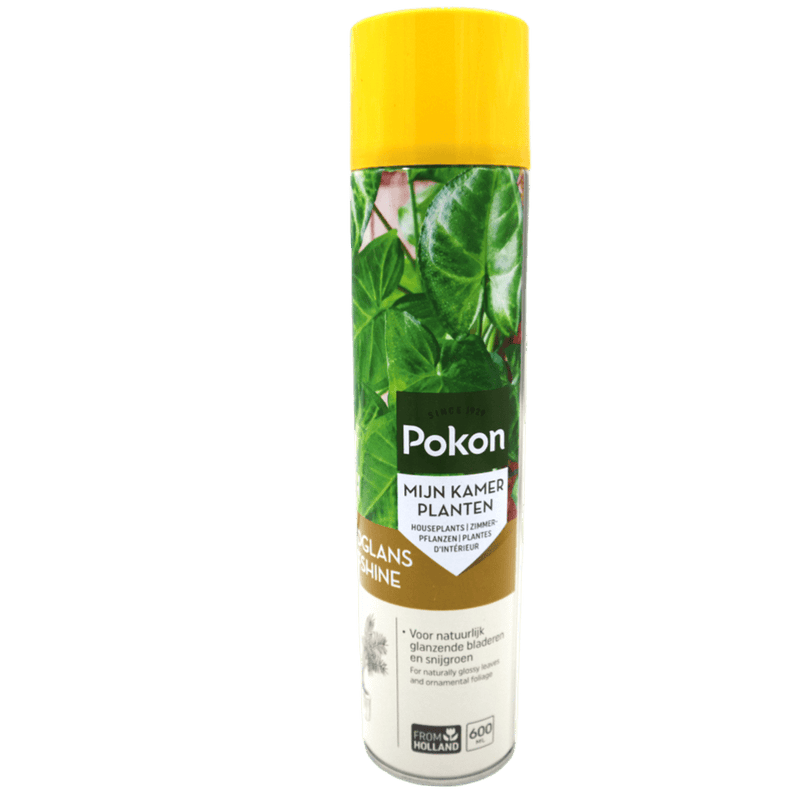 Pokon Leafshine Spray 600ml (Made in Holland) - Greensouq - 