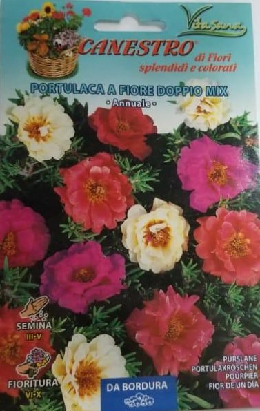 Portulaca A Fiore Doppio Mix Seeds by CANESTRO - Greensouq - 