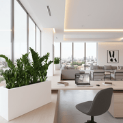 Potted ZZ Plants / ZZ Plants in Fiber Glass Pot (GRP) (90 - 30 - 50cm) - Greensouq - 