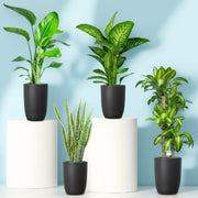 Premium Office Bundle - Greensouq - 