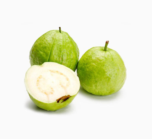 Psidium Guajava - Greensouq - 