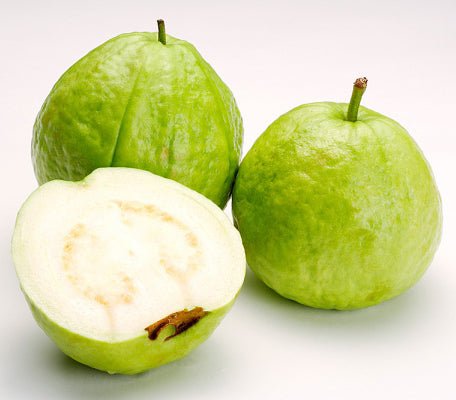 Psidium Guajava - Greensouq - 