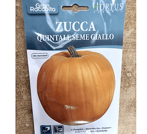 Pumpkin Vegetable Seeds "Zucca Quintale Seme Giallo" Seeds by Hortus - Greensouq - 