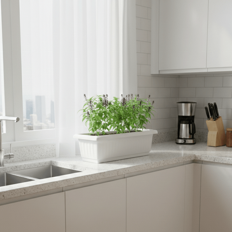 Pure Flavor Basil Grow Box - Greensouq - 