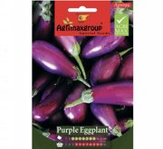 Purple Eggplant Agrimax Seeds - Greensouq - 