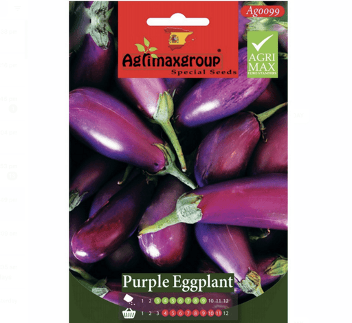 Purple Eggplant Agrimax Seeds - Greensouq - 