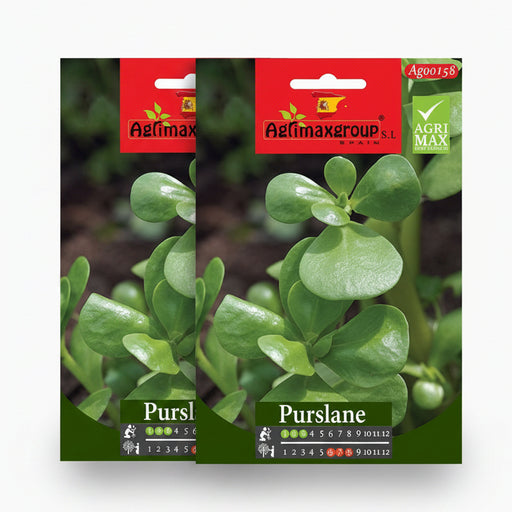 Agrimax Purslane Seeds - Greensouq -