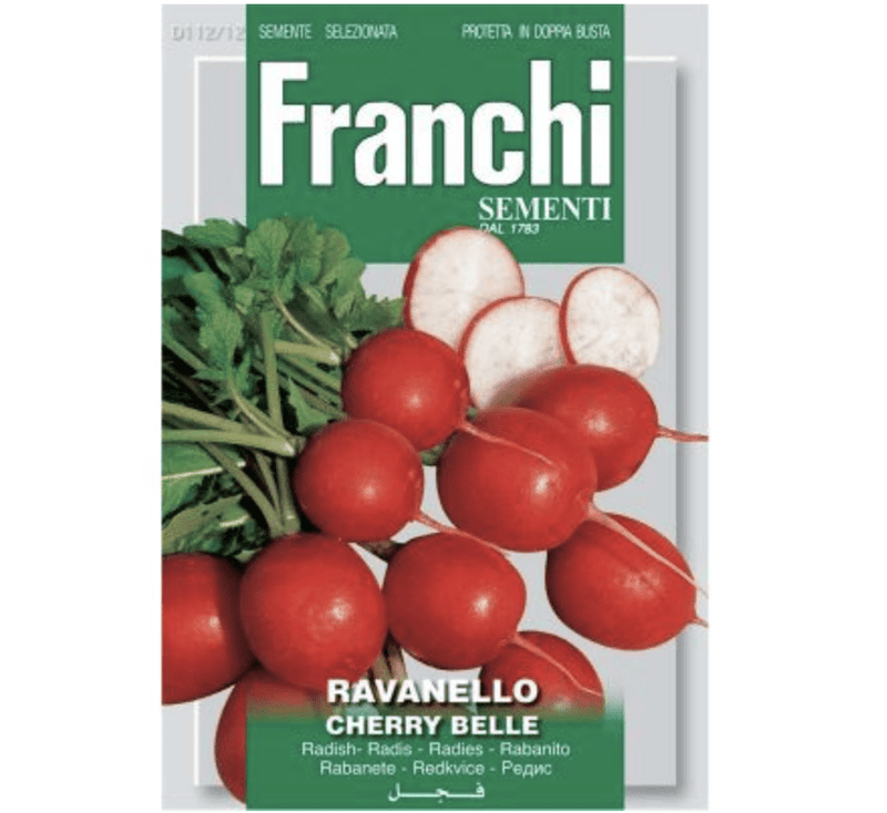 Radish "Ravanello Cherry Belle" Organic Seeds by Franchi - Greensouq -