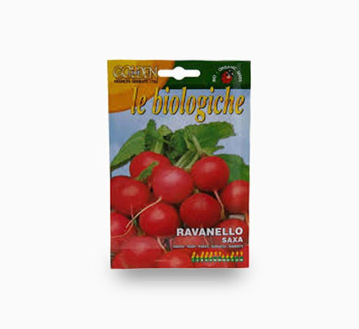 Radish Ravanello Saxa - Fito - Greensouq - 