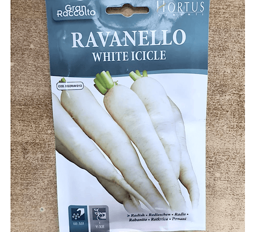Radish Vegetable Seeds "Ravanello White Icicle" by Hortus - Greensouq - 