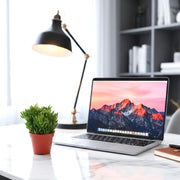 Rhipsalis 10 - 15cm - Greensouq - 