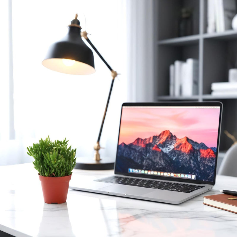 Rhipsalis 10 - 15cm - Greensouq - 