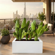 Road Kill Cactus Console - Opuntia Consolea in Black Rolled Rim Pot 30/25 - Greensouq - 