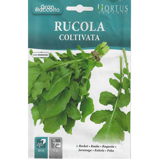 Rocket "Rucola Coltivata" Seeds by Hortus - Greensouq - 