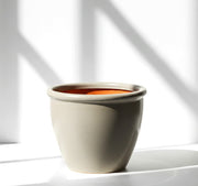 Rolled Rim Pot Outdoor Ceramic Pot, Trendy Outdoor Pot (Multi - colour) - Greensouq - 