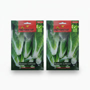 Agrimax Roman Lettuce Seeds - Greensouq -