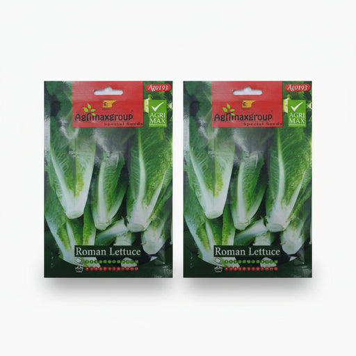 Agrimax Roman Lettuce Seeds - Greensouq -
