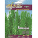 Rosemary "Rosmarino Officinalis" Seeds by Alta Selezione - Greensouq - 