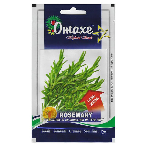 Rosemary "Rosmarinus officinalis" Hybrid Seeds by Omaxe - Greensouq - 