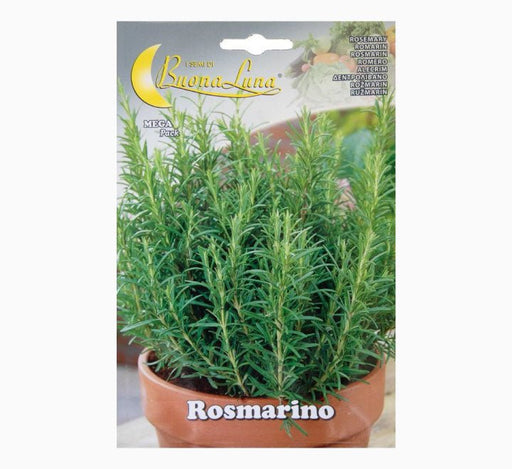 Rosmarino or Rosmary Seeds - Greensouq - 