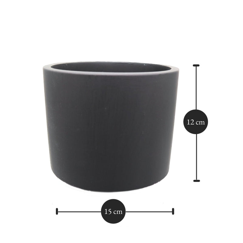 Round Tulip Pot - Greensouq - 