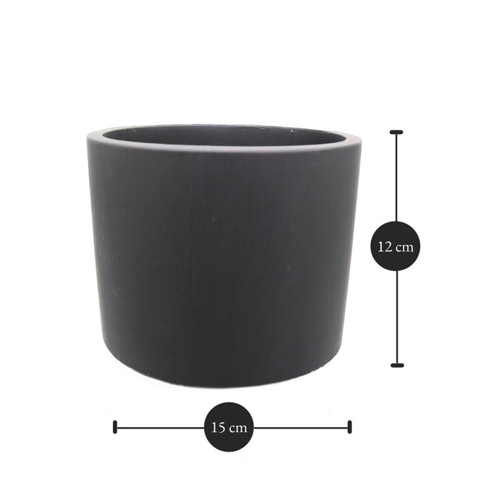 Round Tulip Pot - Greensouq - 