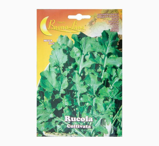 Rucola Coltivate Mega Pack - Greensouq - 