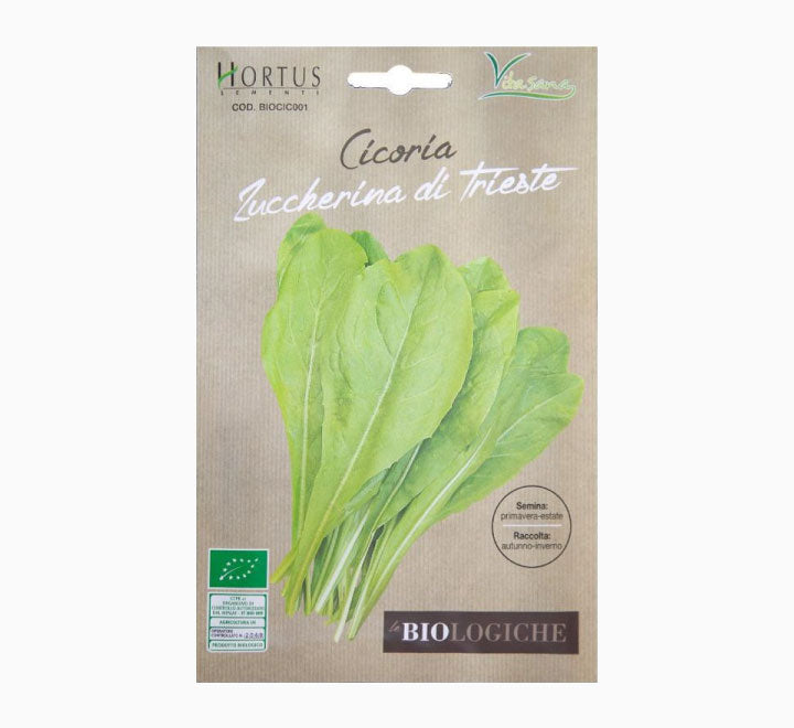 Cicoria Zuccherina Trieste Busta Bio