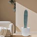 Saguaro cactus - Greensouq - 