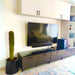 Saguaro cactus - Greensouq - 
