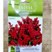 Salvia Flower Seeds "Splendens Nana" by Hortus - Greensouq - 