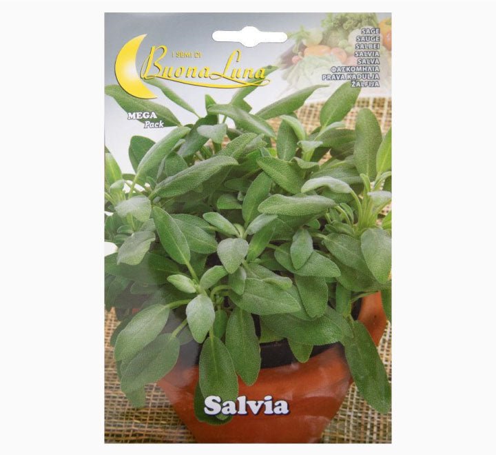 Salvia Mega Pack - Greensouq - 