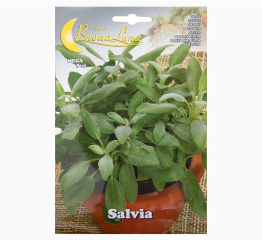 Salvia Mega Pack - Greensouq - 
