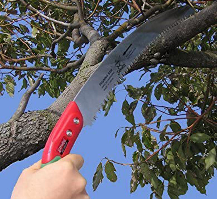 Curved Pruning Saw with Scabbard 13″