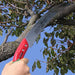 Curved Pruning Saw with Scabbard 13″