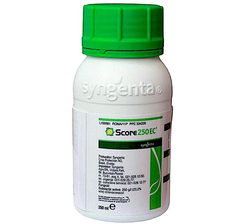 Score 250 EC "To Eliminate Plant Fungus" - Greensouq - 