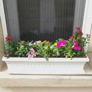 Seasonal Flowering Plants Mix in Cosmoplast White Pot 10 Ltr (49x21x16cm) 19" - Greensouq - 