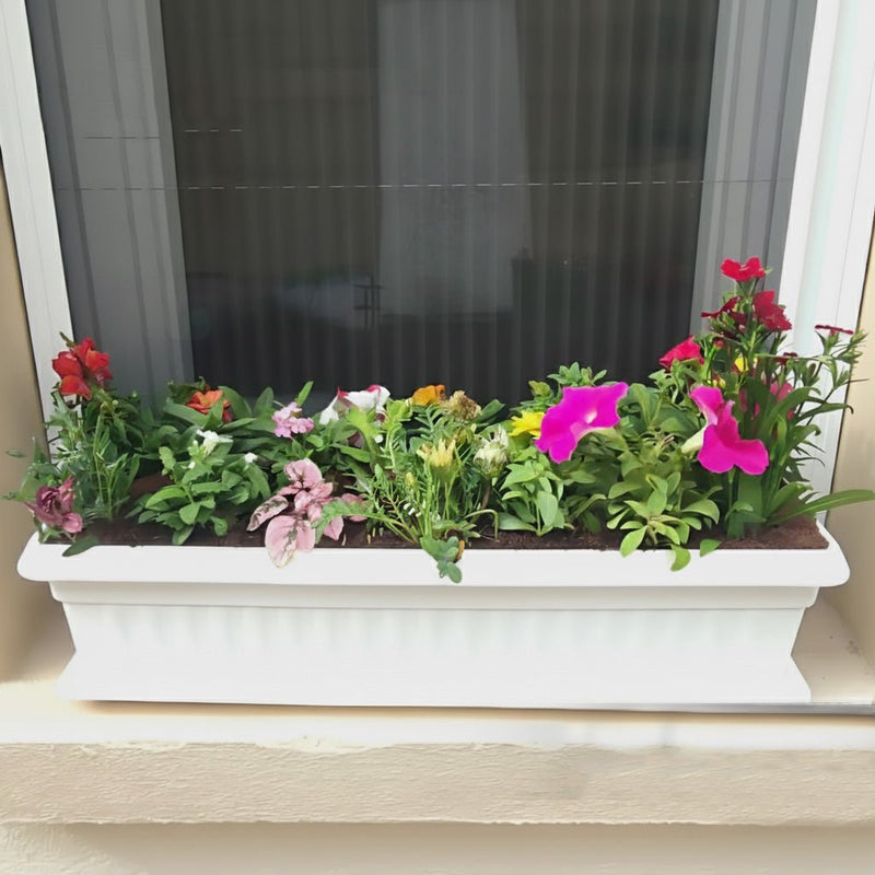 Seasonal Flowering Plants Mix in Cosmoplast White Pot 10 Ltr (49x21x16cm) 19" - Greensouq - 