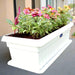 Seasonal Flowering Plants Mix in Cosmoplast White Pot 15 Ltr (65x21x16cm) 25" - Greensouq - 