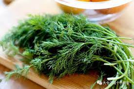 Seeds Bundle Agrimax (Herbs) - Greensouq - 