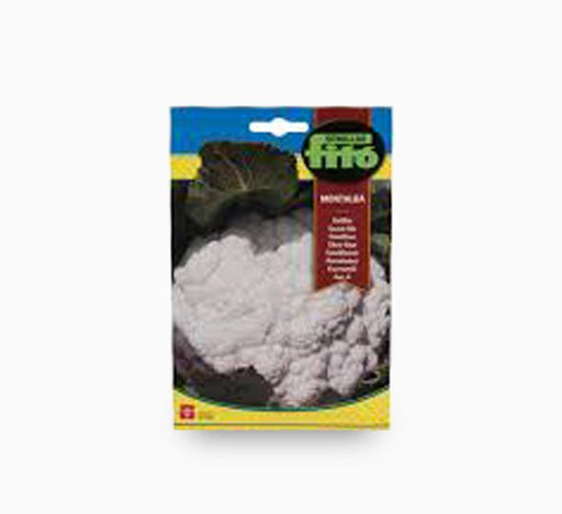Semillas Fito Coliflor Montalba - Fito Seeds - Greensouq - 