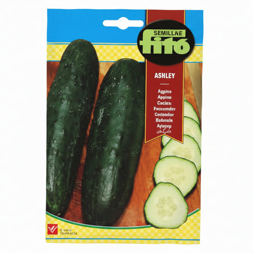 Semillas Fito Cucumber Ashley 10g - Fito - Greensouq - 