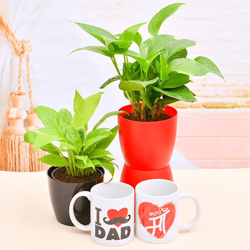 Set of 2 Express your Love to Mom & Dad with Peace Lily Plant & Money Plant Green - Greensouq - 