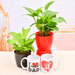 Set of 2 Express your Love to Mom & Dad with Peace Lily Plant & Money Plant Green - Greensouq - 